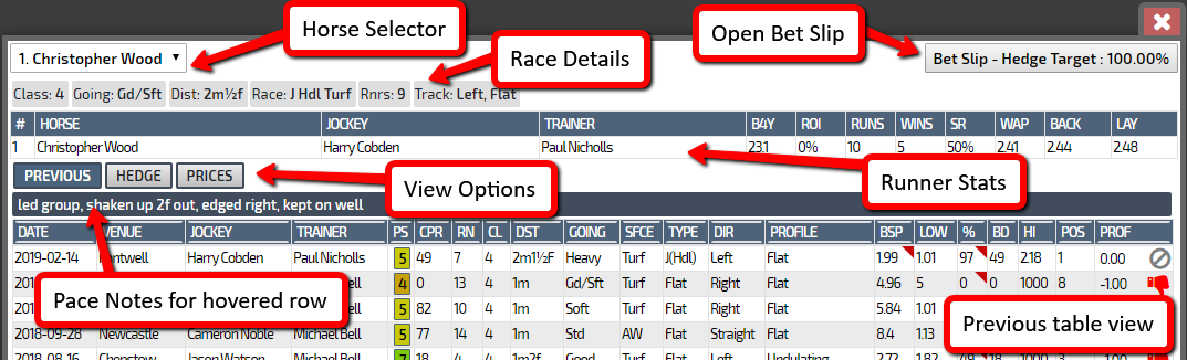 user_guide_runner_redetails_overlay_1